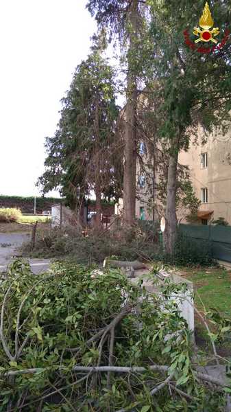 Intervento ospedale Pitigliano 2