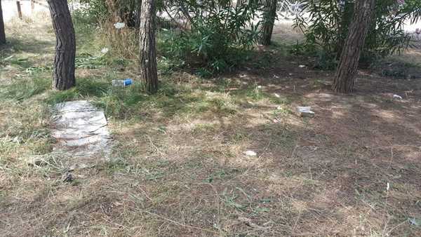 Degrado pineta di Levante 6