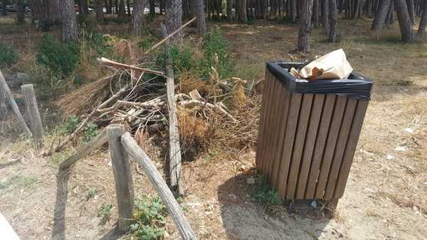 Degrado pineta di Levante Follonica 8