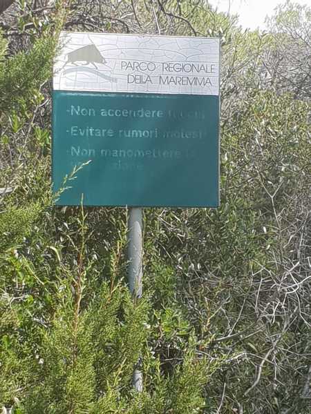 Degrado Parco della Maremma 10