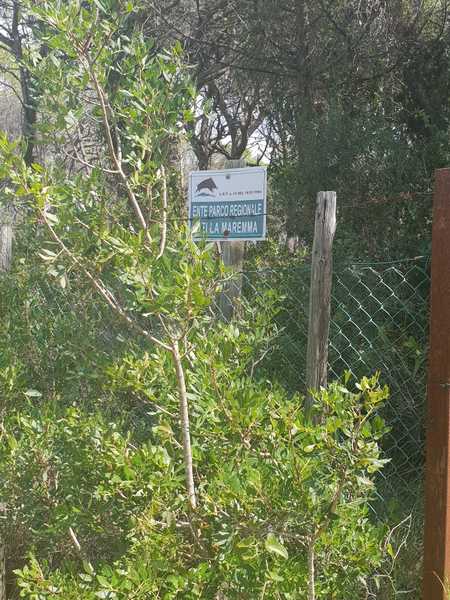 Degrado Parco della Maremma 9