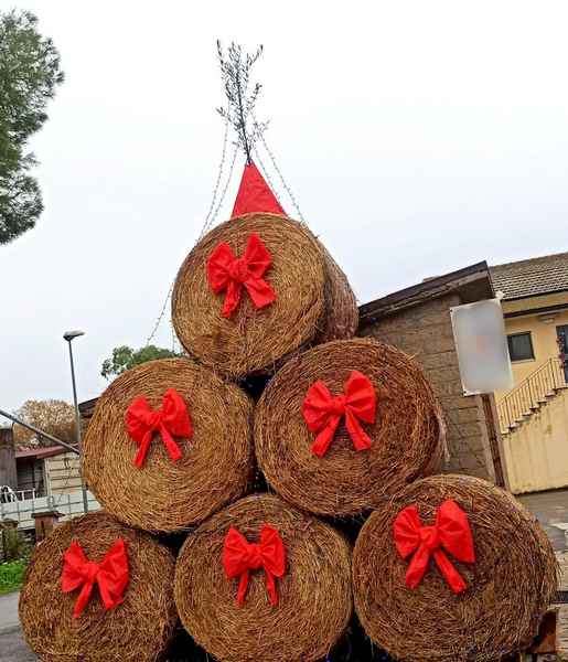 Cooperativa Pomonte