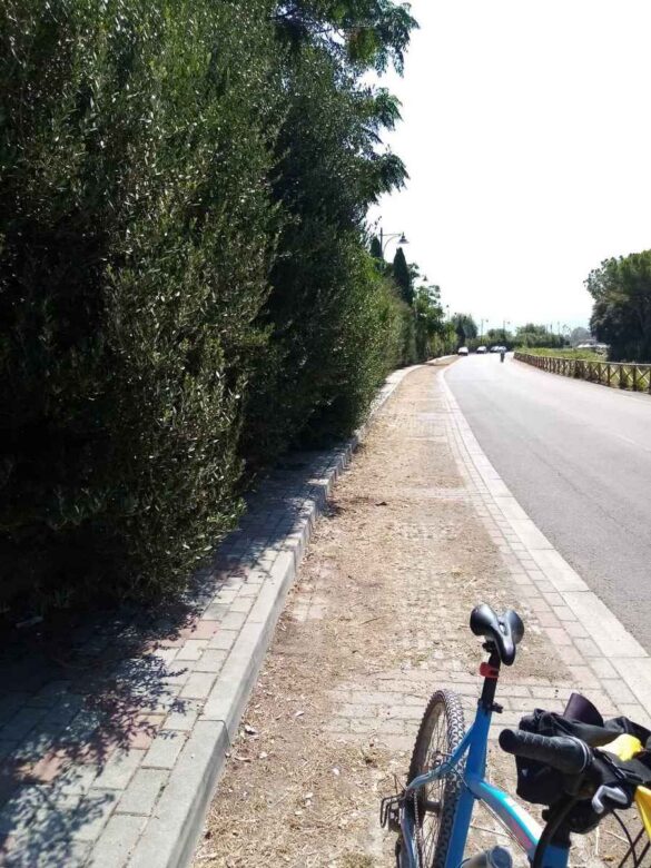 Degrado fosso Cervia 5