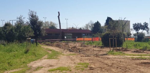 Parco pineta di Ponente 6