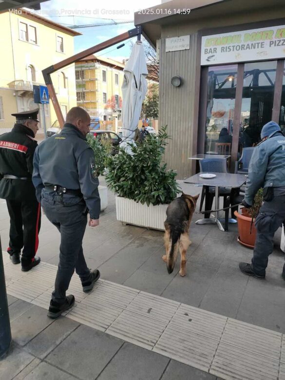Controlli unità cinofile Grosseto