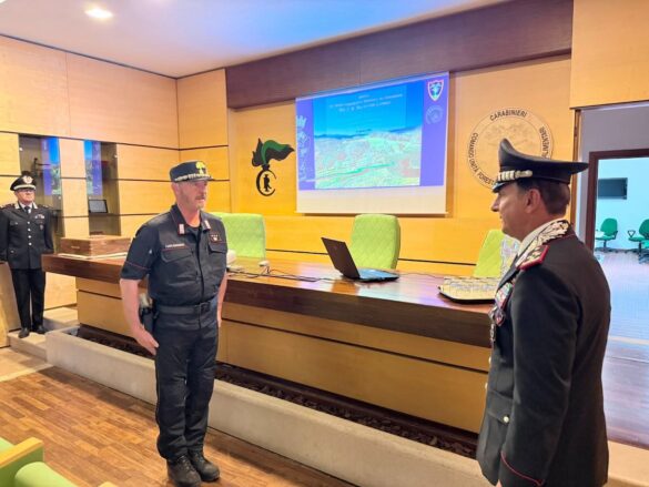 Comandante Generale dell’Arma dei Carabinieri 3
