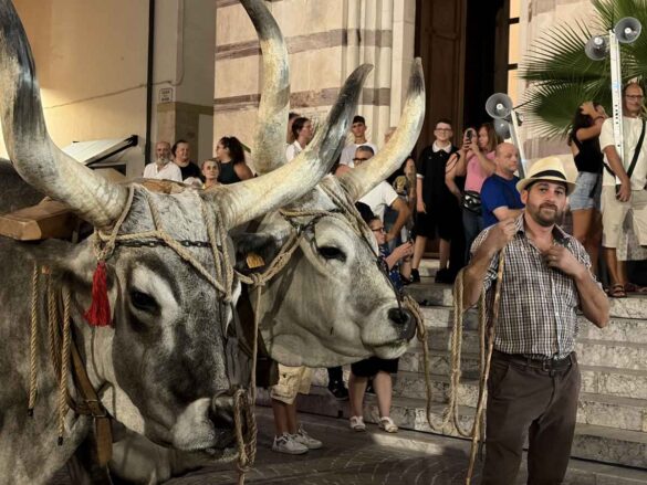Processione San Lorenzo 2026 – 2